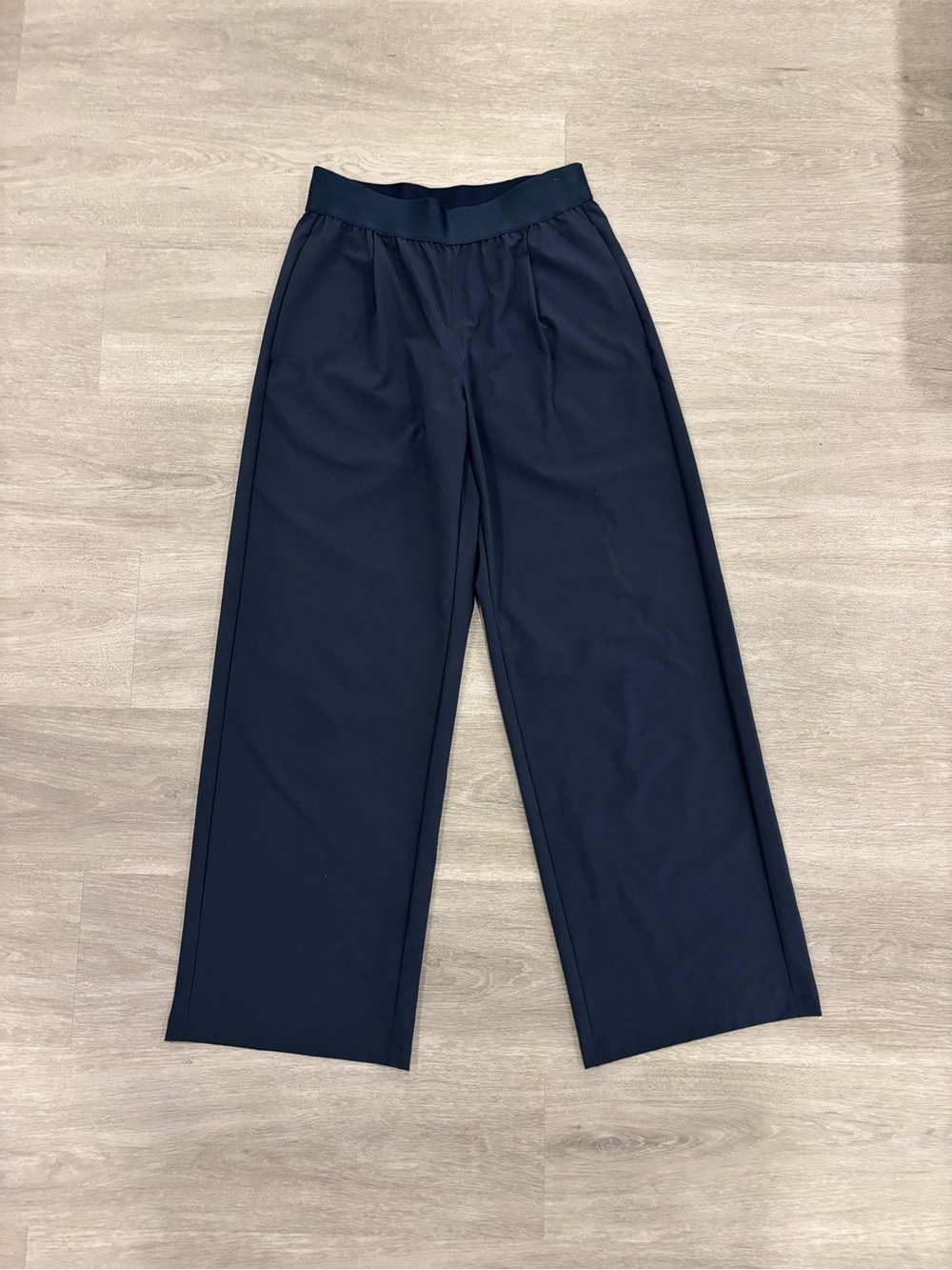 NEVER WORN LIMITED EDITION Aritzia Goldengoose Navy Wide-Leg Track Pants